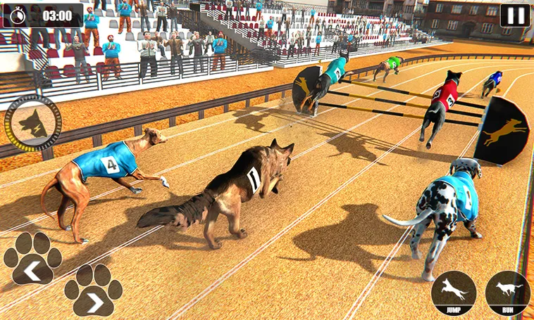 Hướng Dẫn Cách Chơi Game Nhanh Đua Chó Tại W88 Chuẩn Xác 2 Hướng Dẫn Cách Chơi Game Nhanh Đua Chó Tại W88 Chuẩn Xác