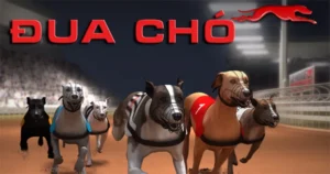 Hướng Dẫn Cách Chơi Game Nhanh Đua Chó Tại W88 Chuẩn Xác